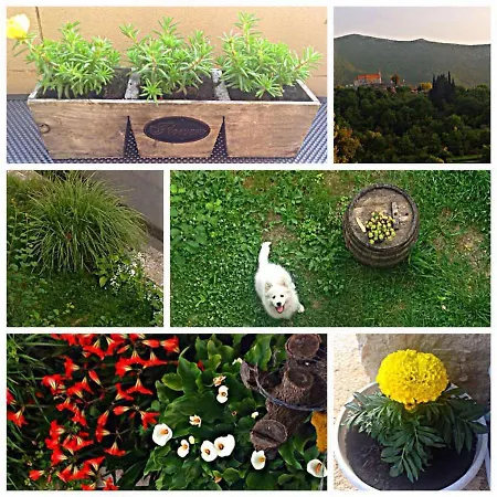 Apartment Mari Ostrvica